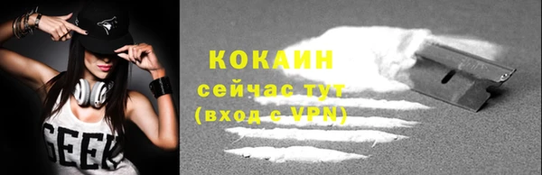 мдпв Козельск