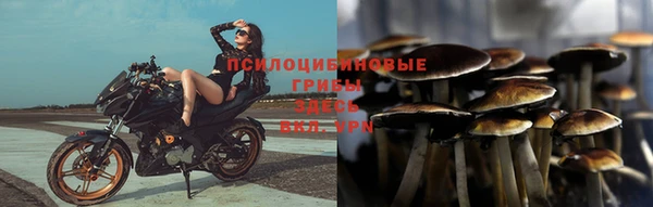 альфа пвп Козловка