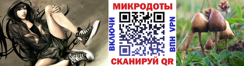 Купить где  Оханск  Галлюциногенные грибы мицелий 